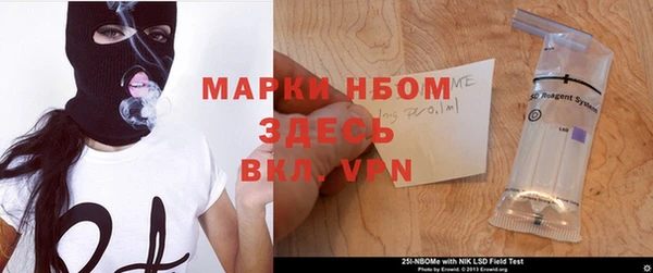 хмурый Алексин
