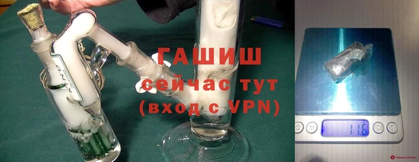 хмурый Алексин