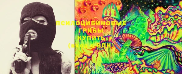 метадон Коряжма