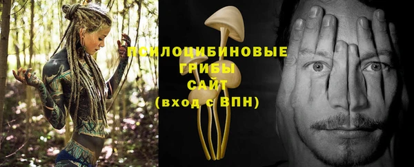 мяу мяу мука Алзамай